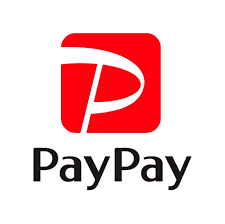 PayPay Icon